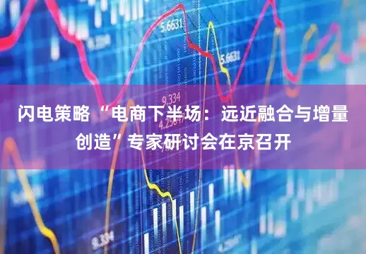 闪电策略 “电商下半场：远近融合与增量创造”专家研讨会在京召开