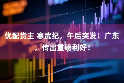 优配货主 寒武纪，午后突发！广东，传出重磅利好！